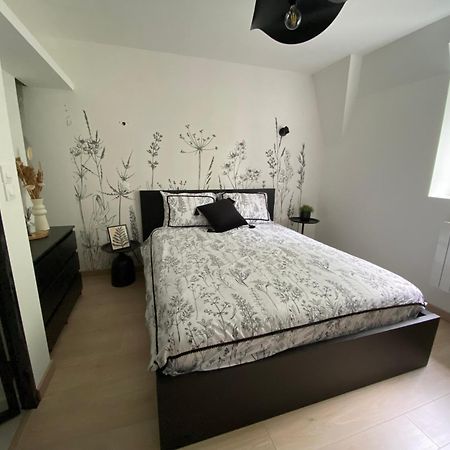 L'Atelier D'Arches Apartment Charleville-Mezieres Luaran gambar
